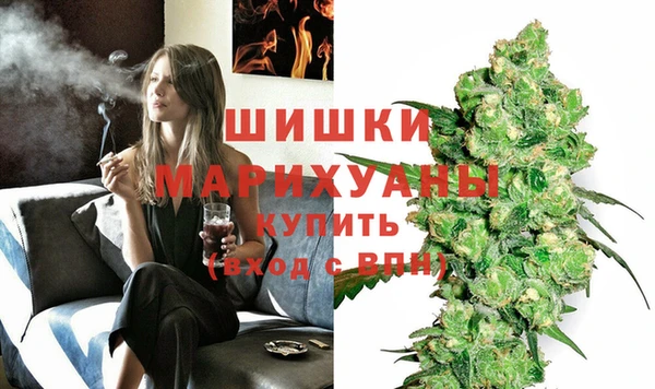 твердый Надым