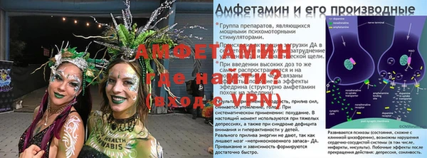 прущие грибы Навашино