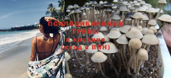 мет Алапаевск