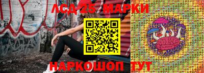 молекула духа Гатчина