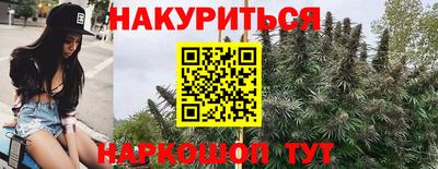 сатива Бузулук