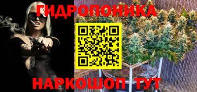 молекула духа Гатчина
