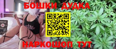 молекула духа Гатчина