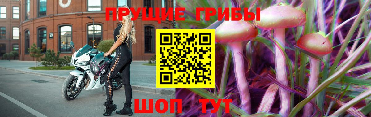 Псилоцибиновые грибы прущие грибы  Полысаево 