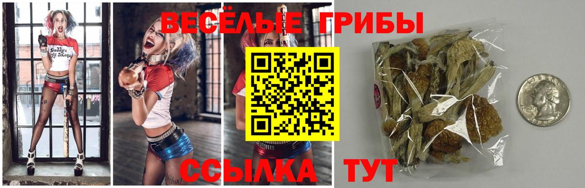 А ПВП Полысаево