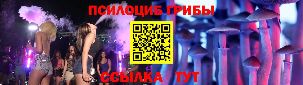 Псилоцибиновые грибы Psilocybine cubensis Полысаево