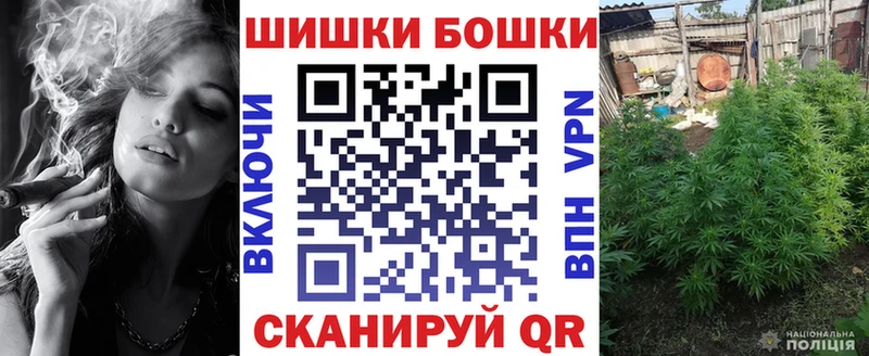 купить наркотики цена  мега ссылки  Бошки марихуана White Widow  Полысаево 
