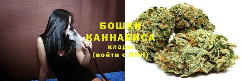 купить наркотики цена  Полысаево  Каннабис план 